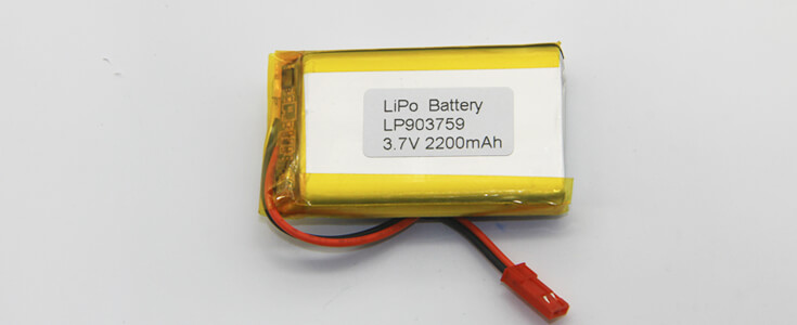 battery manufacturer