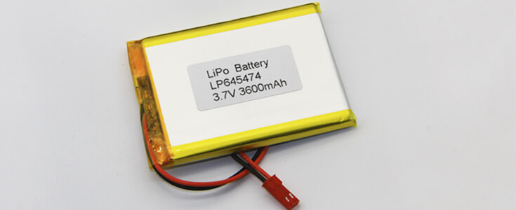 battery manufacturer