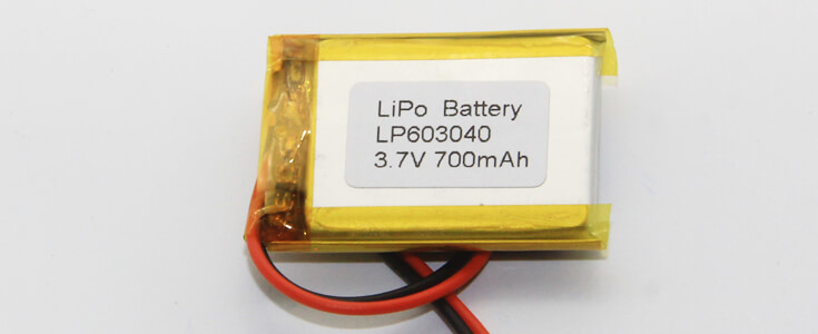 battery manufacturer